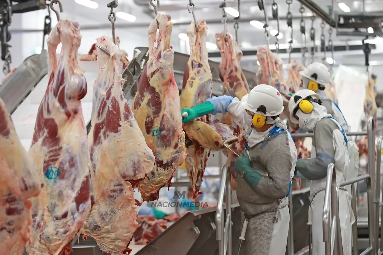 Chile, Israel e EUA lideram as compras de carne bovina paraguaia