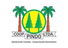 Pindo